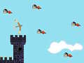 เกม Bird Hunter