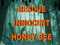 เกม Rescue Innocent Honey Bee 