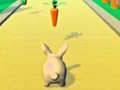 เกม Rabbit Runner