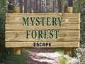 เกม Mystery Forest