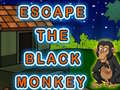 เกม Escape The Black Monkey