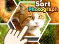 เกม Sort Photograph