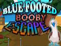 เกม Blue Footed Booby Escape