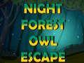 เกม Night Forest Owl Escape
