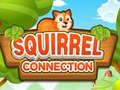 เกม Squirrel Connection