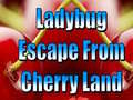 เกม Ladybug Escape From Cherry Land