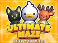 เกม Ultimate Maze! Collect Them All!