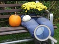 เกม Autumn Garden Find 100 butterflies