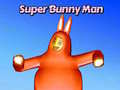 เกม Super Bunny Man