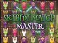 เกม Skibidi Match Master