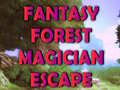 เกม Fantasy Forest Magician Escape
