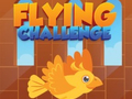 เกม Flying Challenge