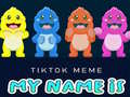 เกม TikTok Meme My Name Is