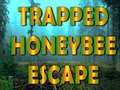 เกม Trapped Honeybee Escape