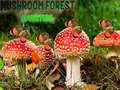 เกม Mushroom Forest Adventure