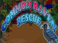 เกม Common Raven Rescue