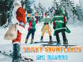 เกม Ski Resort Hidden Snowflakes