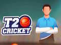 เกม T20 Cricket