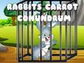 เกม Rabbits Carrot Conundrum
