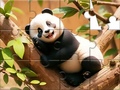 เกม Jigsaw Puzzle: Panda On Tree