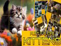เกม Puzzle Sliding Kittens