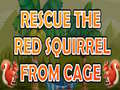 เกม Rescue The Red Squirrel From Cage