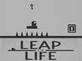 เกม Leap of Life