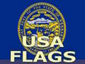 เกม Usa Flags 