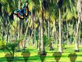 เกม Rescue Tasmanian Tiger