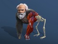 เกม Idle Evolution From Cell To Human