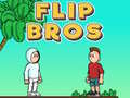 เกม Flip Bros