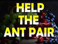 เกม Help The Ant Pair