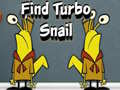เกม Find Turbo Snail