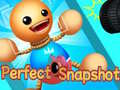 เกม Perfect Snapshot