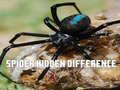 เกม Spider Hidden Difference