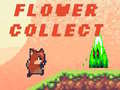 เกม Flower Collect