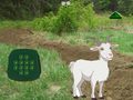เกม Goat Find The Child
