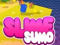 เกม Sumo Slime 3D