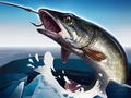 เกม Ice Fishing 3D