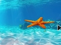 เกม Escape From Underwater Starfish