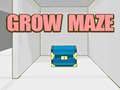 เกม Grow Maze