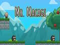 เกม Mr Macagi