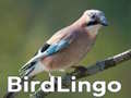เกม BirdLingo