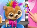 เกม  Rock Star Animal Hair Salon