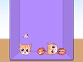 เกม Evolution of Cat Memes