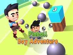 เกม Pinball Boy Adventure