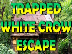 เกม Trapped White Crow Escape