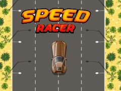 เกม Speed Racer