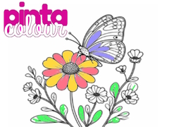เกม Pinta Colour