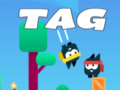 เกม Tag